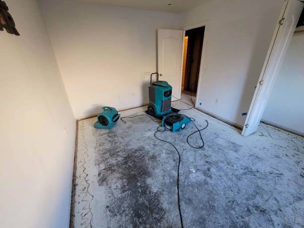 Best Flood restoration services  in Hickory Creek, TX