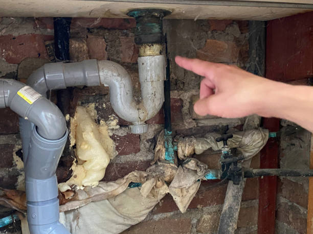 Best Mold removal after water damage  in Hickory Creek, TX